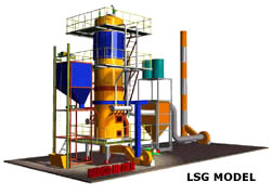 LSG Model