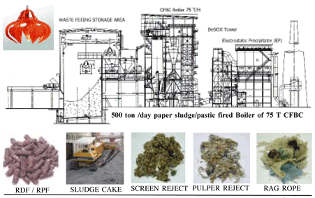 biomass